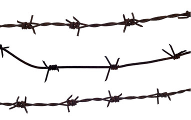 Barbed wire on a white background. Wire isolate close-up. Protection from criminals