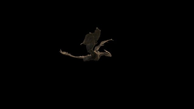 Dragon Flying Transparent Alpha Animation