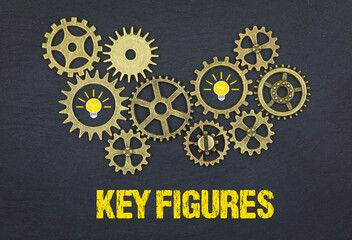 Key Figures	
