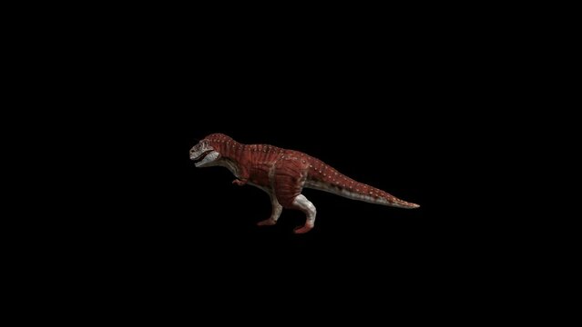 Dinosaur Carnotaurus Walking Transparent Alpha Animation