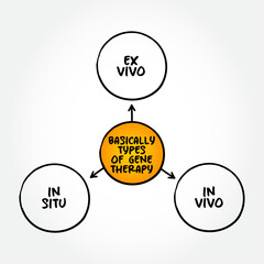 Basically three types of gene therapy mind map text concept for presentations and reports