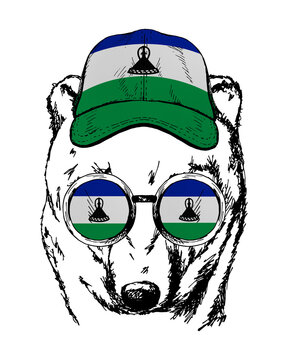 recommend clip art: Brown bear's hand drawn portrait. Patriotic sublimation in colors of national flag on white background. Lesotho