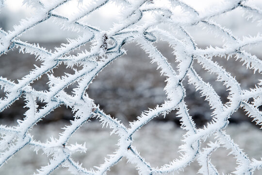 snow-covered wire fence with bent wire