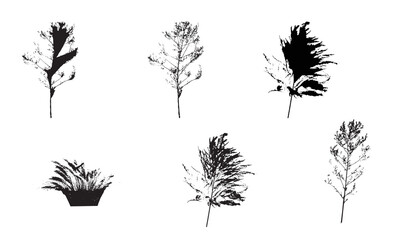 Obraz premium Trees grass flowers silhouette vector artwork illustration