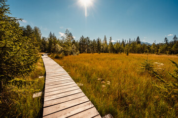 Mountain landscape in Slovakia mountains, Juranova dolina - valley in The Western Tatras national park, oravice, Orava region. Educational trail through the bog © Zedspider