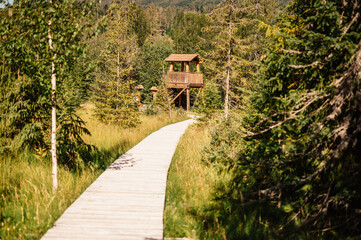Mountain landscape in Slovakia mountains, Juranova dolina - valley in The Western Tatras national park, oravice, Orava region. Educational trail through the bog © Zedspider
