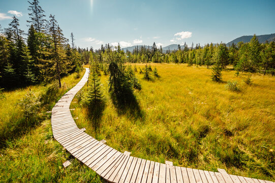 Mountain landscape in Slovakia mountains, Juranova dolina - valley in The Western Tatras national park, oravice, Orava region. Educational trail through the bog