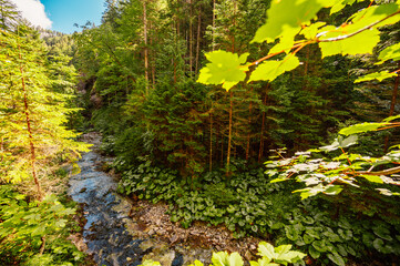 Mountain landscape in mountains, Juranova dolina - valley in The Western Tatras national park. Slovakia, oravice, Orava region. © Zedspider