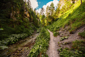 Mountain landscape in mountains, Juranova dolina - valley in The Western Tatras national park. Slovakia, oravice, Orava region. © Zedspider