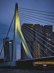 Obraz premium bridge over the river