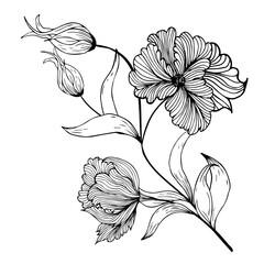 Floral composition, floral background with tender flowers and branches of buds. Hand drawing. For stylized decor, invitations, cards, posters, flyers, for printing on fabric and paper, for backgrounds