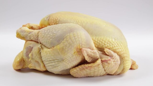 chapon en gros plan, isol&eacute; sur un fond blanc