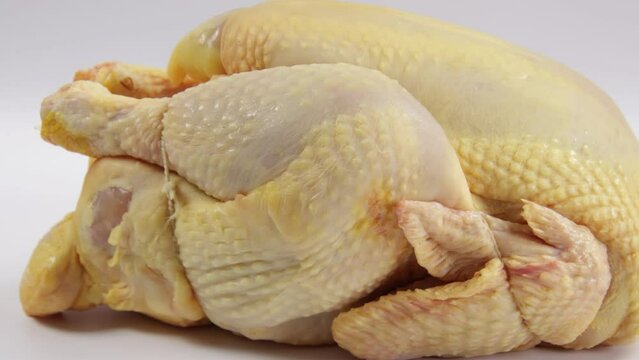 chapon en gros plan, isol&eacute; sur un fond blanc