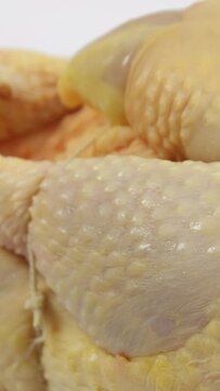 chapon en gros plan, isol&eacute; sur un fond blanc	