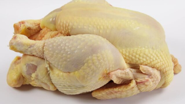 chapon en gros plan, isol&eacute; sur un fond blanc