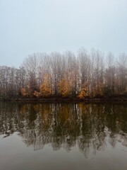 paysage, Meuse, Belgique, brouillard, automne, lampadaire, éclairage, poilvache, houx, arbres, fleuve, fluvial, canard, oie, sauvage, oie canadienne