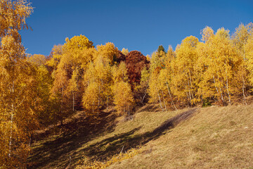 beautiful autumn landscapes in the Romanian mountains, Fantanele village area, Sibiu county, Cindrel mountains, Romania