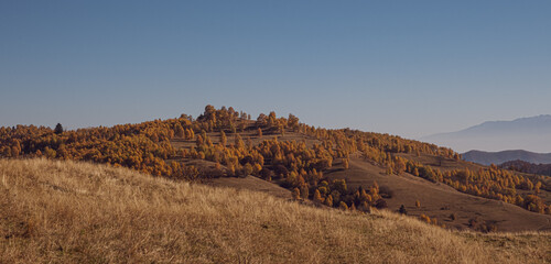 beautiful autumn landscapes in the Romanian mountains, Fantanele village area, Sibiu county, Cindrel mountains, Romania