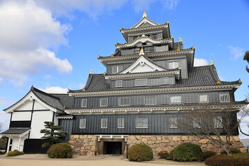 Obraz premium 岡山城（天守閣）