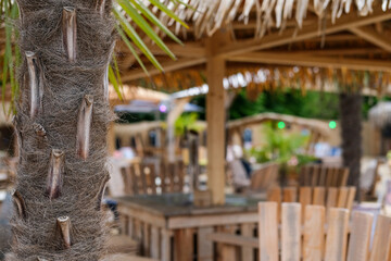 Konzept Beachclub: Detail einer Palme im Außenbereich eines großen Restaurants oder einer Bar mit...