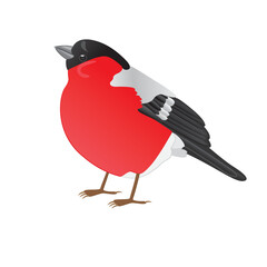 Cartoon bullfinch isolated on a white background