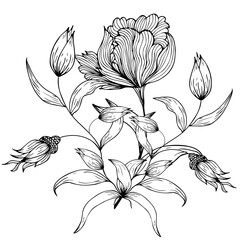 Floral composition, floral background with tender flowers and branches of buds. Hand drawing. For stylized decor, invitations, cards, posters, flyers, for printing on fabric and paper, for backgrounds