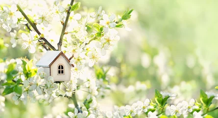 Fotobehang toy house on blossom cherry flowers, spring natural background. concept of mortgage, construction, rental, family and property. eco-home. spring season. template for design © Ju_see