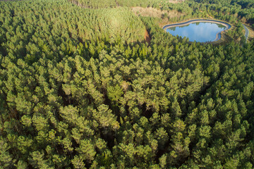 aerial view of a coniferous forest and water reservoir