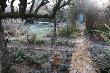 White frost ice freezing morning beautiful Winter landscape view in Norfolk English country, espalier pear tree grass lawn barren trees and plants in Winter with secret door & path under a rose arch