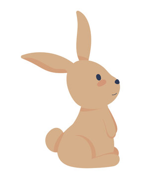 rabbit vector icon
