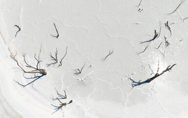 Aerial view of a salt pan with significant saline deposits containing dead trees around Aldersyde in Western Australia, 