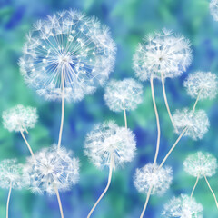 dandelion with sky