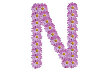 Letter N made with pink flower isolated on white background. Spring concept idea.
