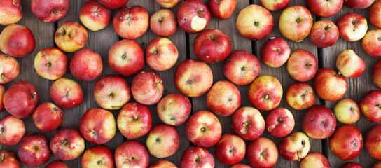 Many Fresh red apples background. harvest concept.