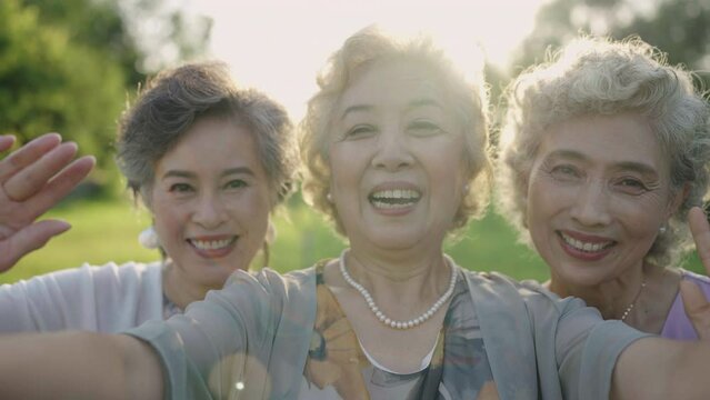 Happy senior friends relaxing in park,4K