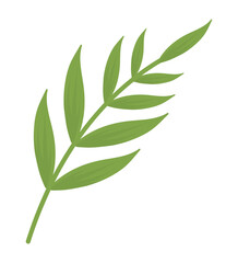 bamboo branch leaves