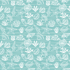 Fototapeta premium Collection of seashells algae and corals