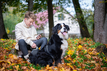 Boy teenager wear white cozy sweater with a Bernese Mountain Dog using mobile phone and headphones in autumn park