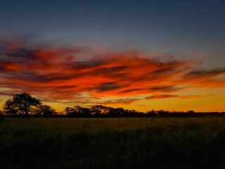 Atardecer en el campo con caldenes de fondo.
La Pampa Argentina