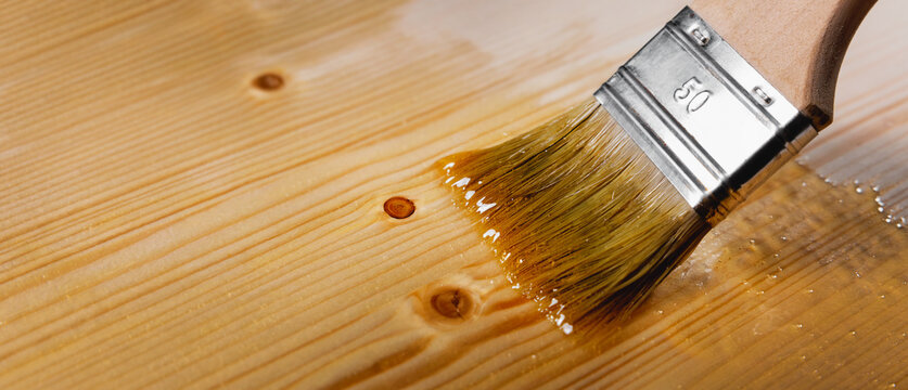 applying transparent varnish on wood with paint brush. wooden furniture coating and protection. banner with copy space