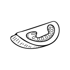 Tomato slice line art. Farm vegetable. Dietary healthy product. Hand drawn vector sketch illustration.