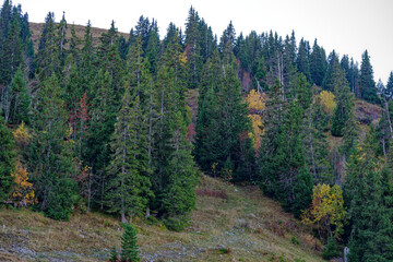 Scenic autumn landscape in the Swiss Alps at Axalp, Canton Bern, on a sunny autumn morning. Photo taken October 18th, 2022, Axalp, Switzerland.