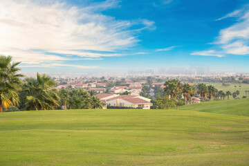Fototapeta na wymiar Beautiful view of the green lawn in Sheikh Zayed, Egypt