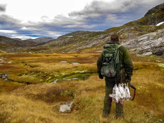 Rolgordijnen Grouse hunting in the mountains © SjurTarjei