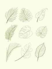 set of leaves