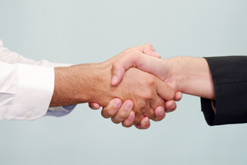 Businessmen shaking hands. Business concept.