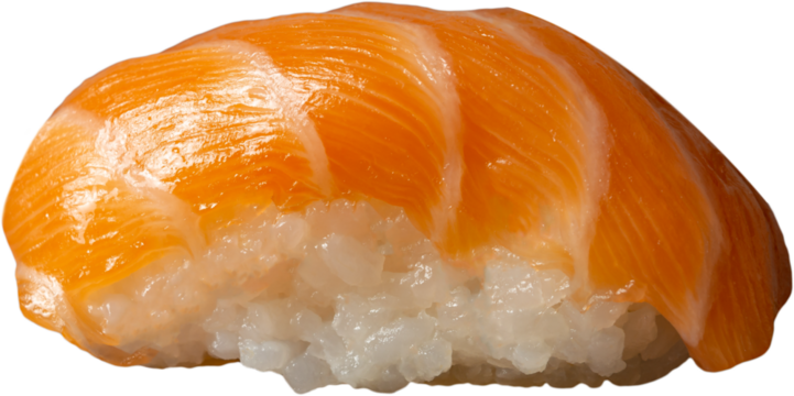 salmon nigiri side view, png no background