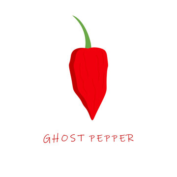 Ghost Pepper Flat Design Vector Illustration. Capsicum Chinense Ghost Chili.
