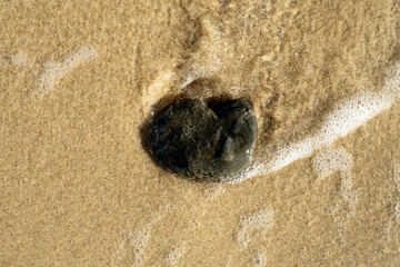 A black stone on the sea sand washed by a calm wave.