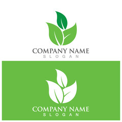 leaf ecology  icon vector illustration template design
